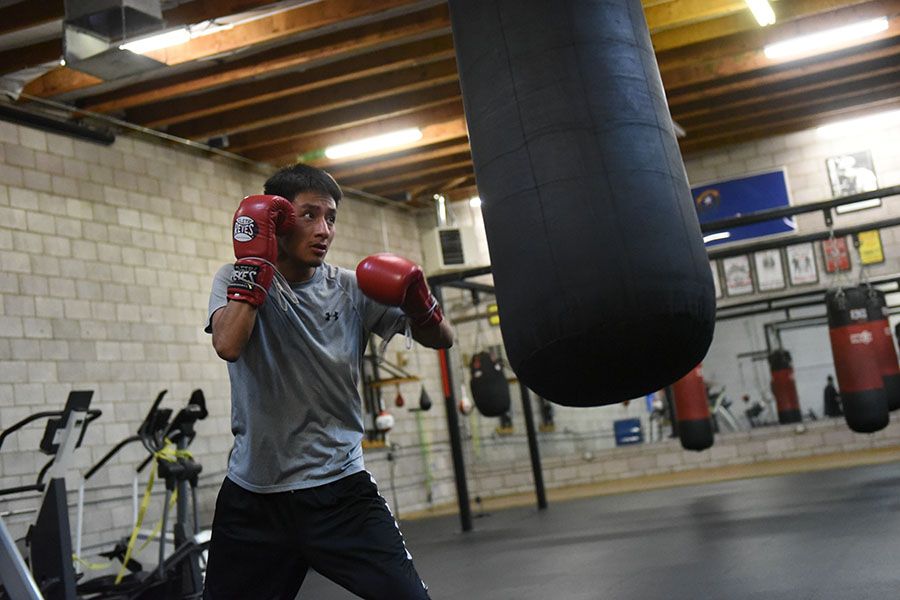 A young boxer in his stance by the heavy bags at Barry's Boxing Center, Las Vegas